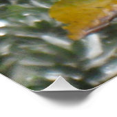 Poster de fleurs hawaïennes (Coin)