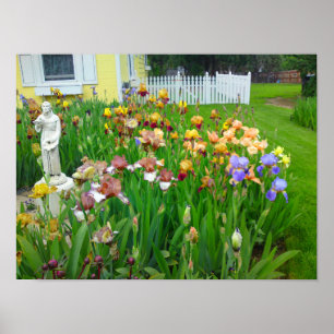 Poster de fleurs Iris de couleur mutil