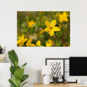 Poster de fleurs jaunes (Bureau à domicile)