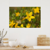 Poster de fleurs jaunes (Cuisine)