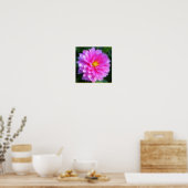 Poster de fleurs magenta (Cuisine)