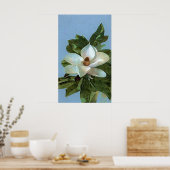 Poster de fleurs Magnolia (Cuisine)