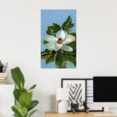 Poster de fleurs Magnolia (Bureau à domicile)