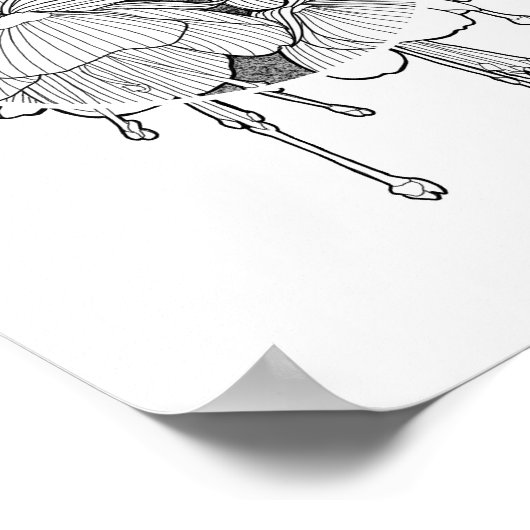 Poster de fleurs néo-botaniques Fuchsia (Coin)