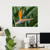 Poster de fleurs Oiseau du Paradis (Bureau à domicile)
