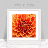 Poster de fleurs orange de gros plan