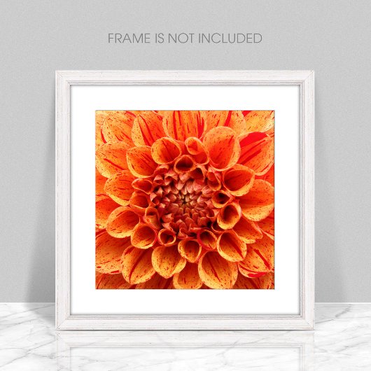 Poster de fleurs orange de gros plan