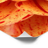 Poster de fleurs orange de gros plan (Coin)