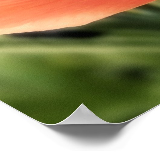 Poster de fleurs Peachy Ranunculus (Coin)