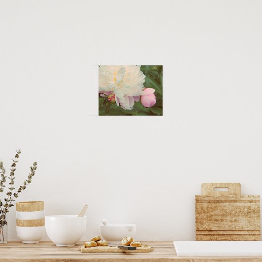 Poster de fleurs Peonies roses (Cuisine)