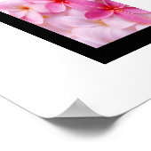 Poster de fleurs Plumeria (Coin)