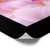 Poster de fleurs Plumeria (Coin)