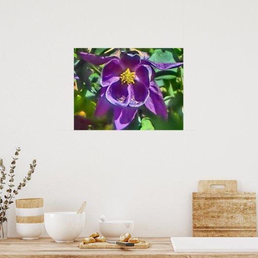 Poster de fleurs pourpre de columbine (Cuisine)