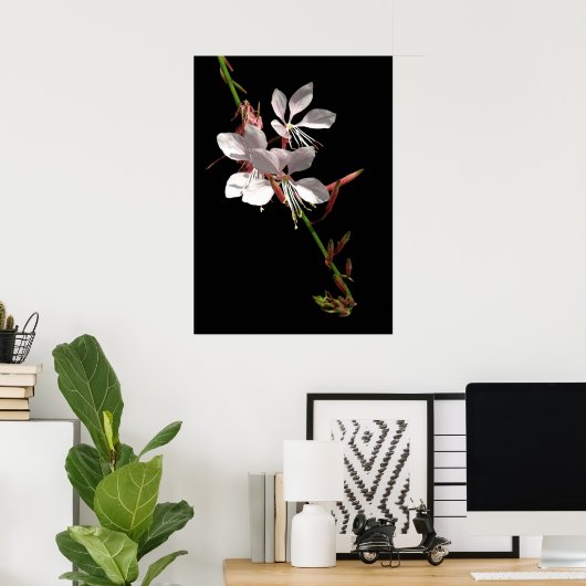 Poster de fleurs rose Gaura (Bureau à domicile)