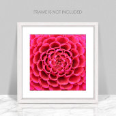 Poster de fleurs roses chaudes