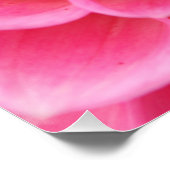 Poster de fleurs roses rapprochées (Coin)