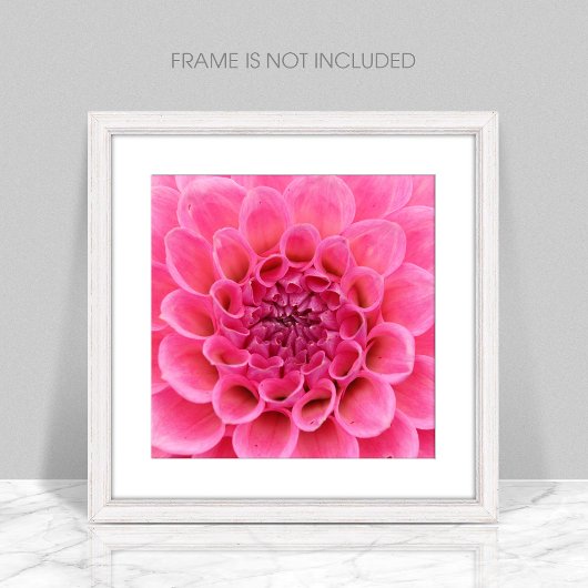 Poster de fleurs roses rapprochées