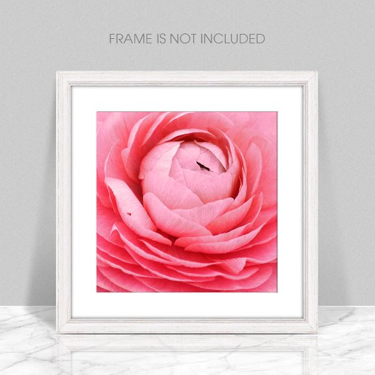 Poster de fleurs roses rapprochées