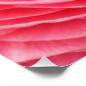 Poster de fleurs roses rapprochées (Coin)