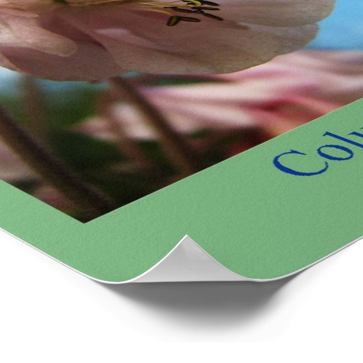 Poster de fleurs sauvages (Coin)