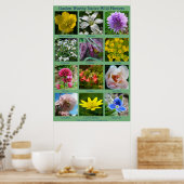 Poster de fleurs sauvages (Cuisine)