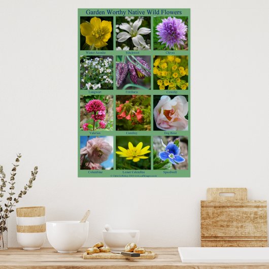 Poster de fleurs sauvages (Cuisine)
