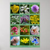 Poster de fleurs sauvages (Devant)
