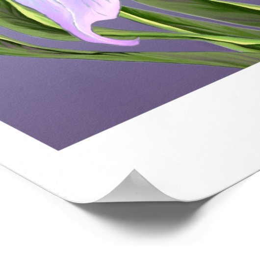 Poster de fleurs Smeraldo (Coin)