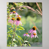 Poster de fleurs violettes (Devant)