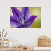 Poster de fleurs violettes (Cuisine)