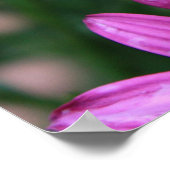 Poster de fleurs violettes vives (Coin)