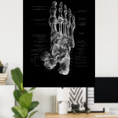 Poster de Foot Bones Anatomy Podiatrist (Bureau à domicile)