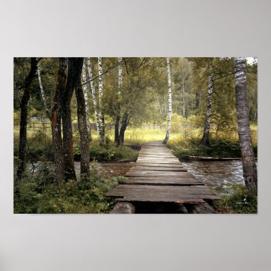 Poster de Forest Bridge Creek (Devant)