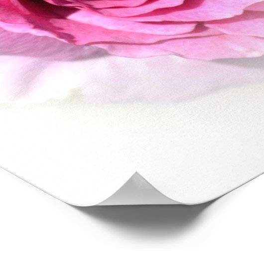 Poster de Forever et Day (Coin)