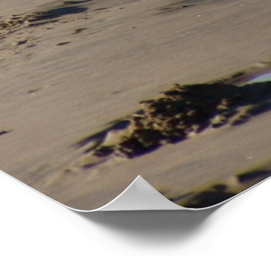 Poster de Foster Beach (Coin)