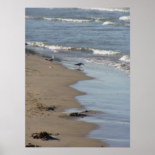 Poster de Foster Beach (Devant)