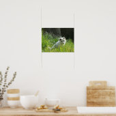 Poster de Fox Arctique (Cuisine)