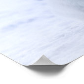 Poster de Fox Arctique (Coin)