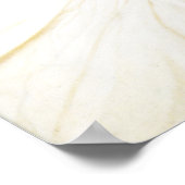 Poster de Frederic Leighton Pavonia (Coin)