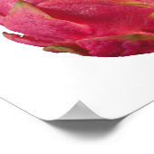 Poster de fruits du dragon (Coin)