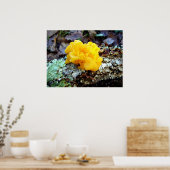 Poster de Fungi Tremella Mesenterica (Cuisine)