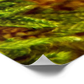 Poster de Fungus Beefsteak (Coin)