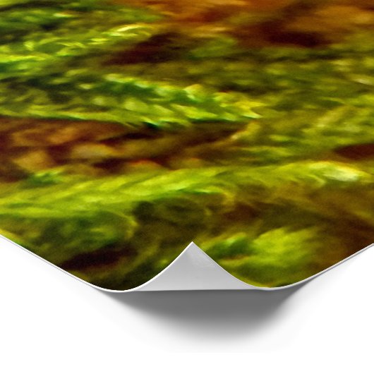 Poster de Fungus Beefsteak (Coin)