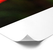 Poster de fusée (Coin)