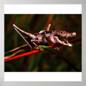 Poster de fusée (Devant)