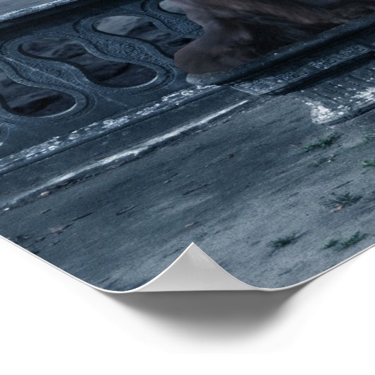 Poster de Gargoyle de Terre-Neuve (Coin)