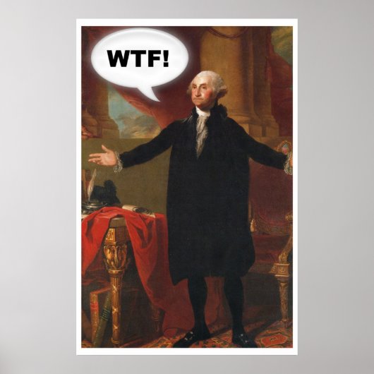 Poster de George Washington WTF (sans légende) (Devant)