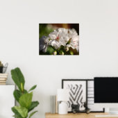 Poster de géranium (Bureau à domicile)