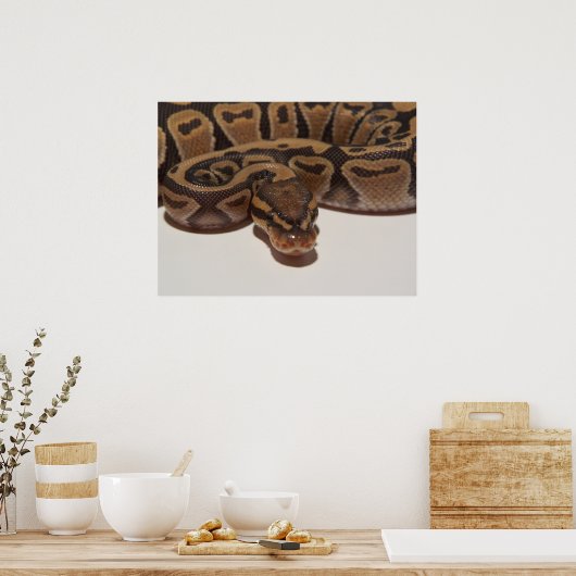 Poster de Ghost Ball Python (Cuisine)