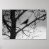 Poster de Ghost Raven (Devant)